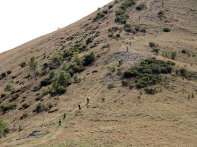 Uscita in E-Bike o Mountain Bike con guida